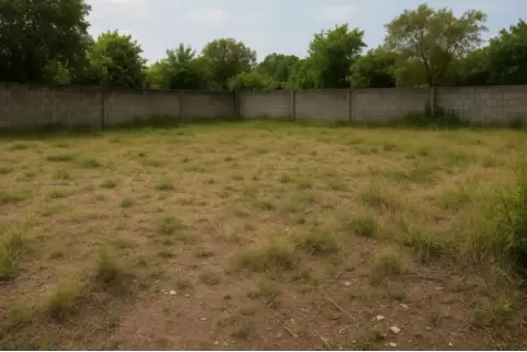 Alugar um terreno ou lote pode ser uma opção interessante para quem precisa de espaço para projetos - Imagem 1