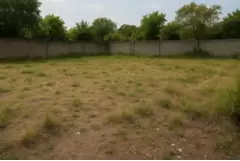 Alugar um terreno ou lote pode ser uma opção interessante para quem precisa de espaço para projetos