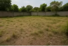 Comprar um terreno ou lote pode ser uma opção interessante para quem precisa de espaço para projetos