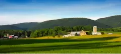 Escolha Sua Estadia Rural: Particularidades de Sítios, Chácaras e Fazendas para Aluguel de Temporada