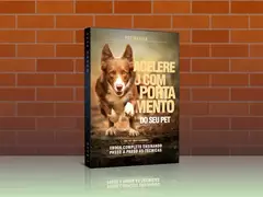 85 DICAS E COMANDOS INFALÍVEIS PARA ADESTRAR SEU PET