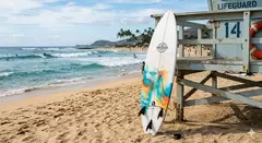 Prancha de Surf: Equipamento hidrodinâmico projetado para permitir que uma pessoa deslize numa onda
